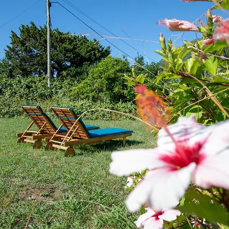 Casa Da Sogra Tatil Evi *